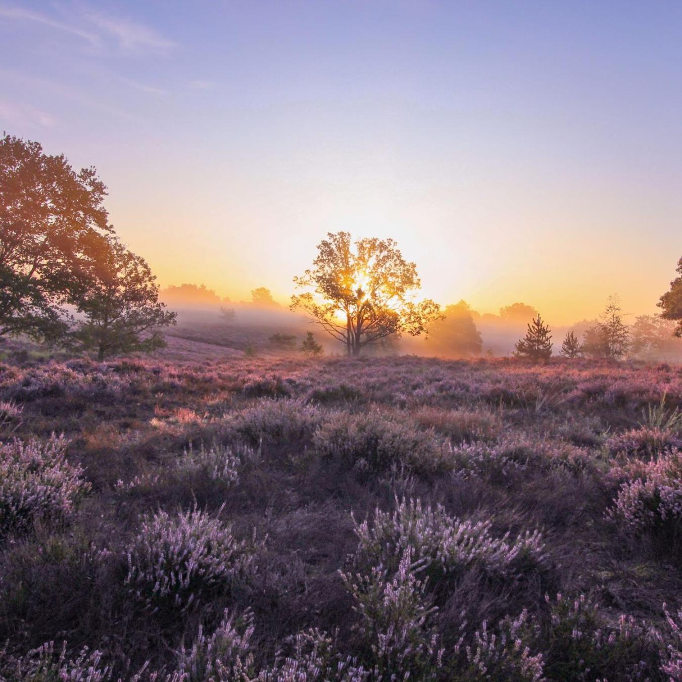 Chalet In Het Bos - Gezin - Wandelaars - Digital Nomads - Hs Wifi - Fijnspar 108 Aan de Wolfsberg Екстер'єр фото