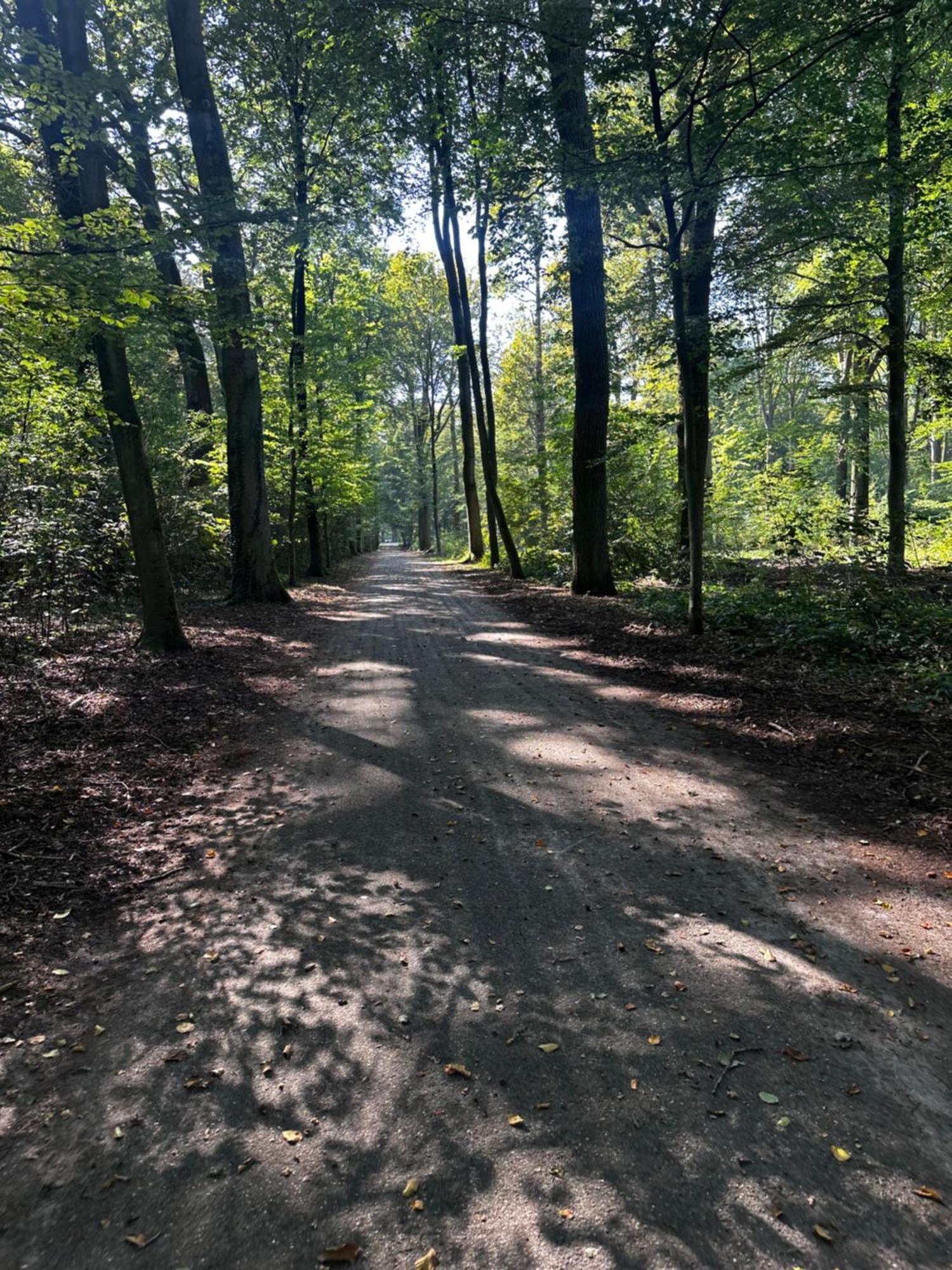 Chalet In Het Bos - Gezin - Wandelaars - Digital Nomads - Hs Wifi - Fijnspar 108 Aan de Wolfsberg Екстер'єр фото